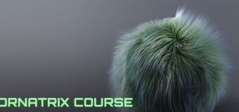Ornatrix. Cборник уроков от Андрея Кривули