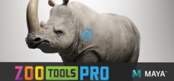 zoo tools